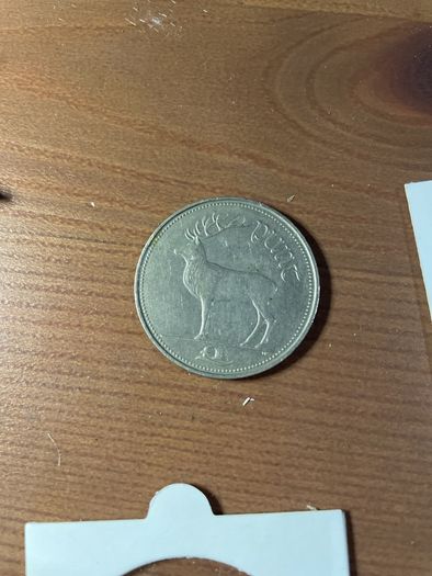 1 Punt Irish coin