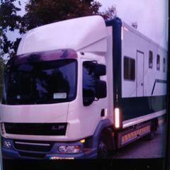 Horsebox horselorry camper horses