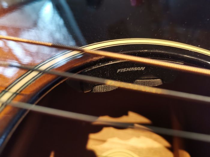 Epiphone EL-00 Pro