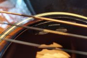 Epiphone EL-00 Pro