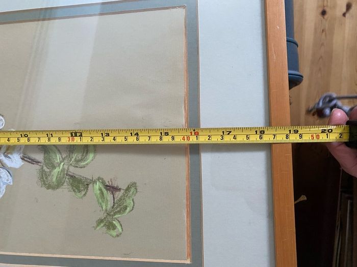 Botanical pastel drawing - framed