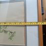 Botanical pastel drawing - framed Image 6