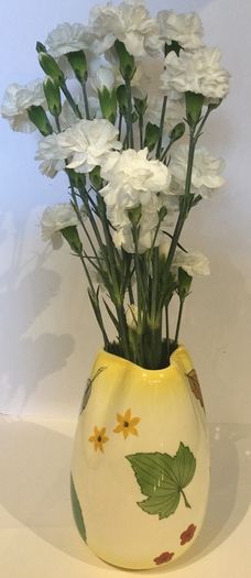 Royal Winton Grimwades "Naples" shape Vase