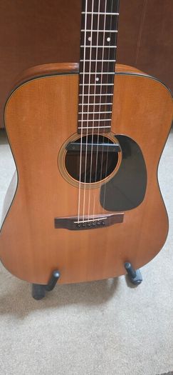 1974 Martin D-18