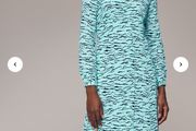 Whistles dress