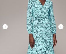 Whistles dress