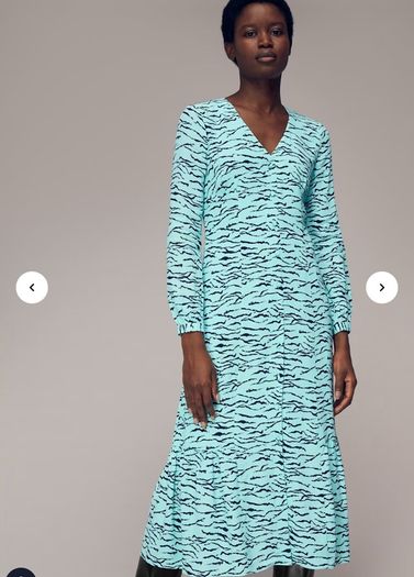 Whistles dress