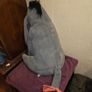 Large Eeyore Disney Plush Image 5