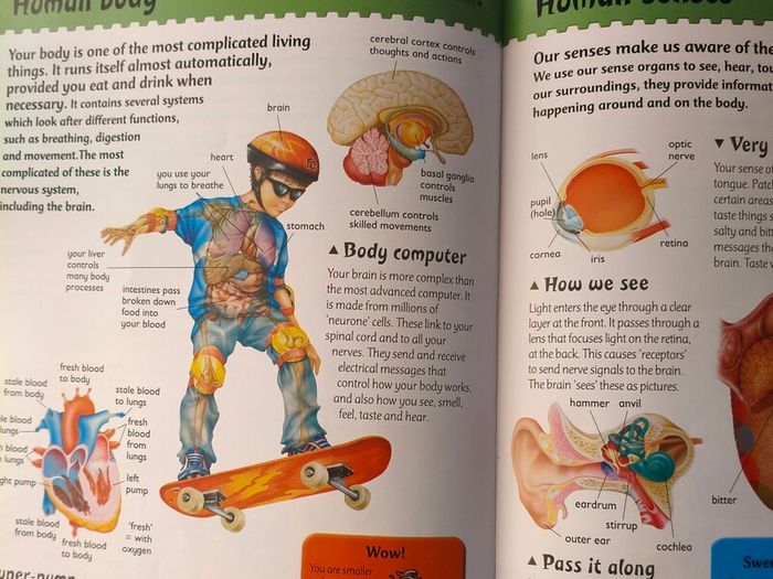 Kids Fun Science Encyclopedia