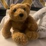 Microwavable teddies Image 3