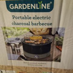 Electric barbecue