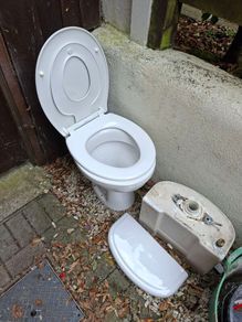 Free Toilet
