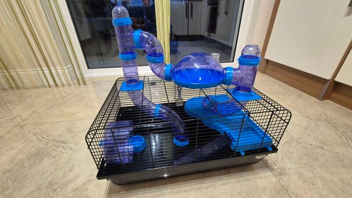 Hamster cage