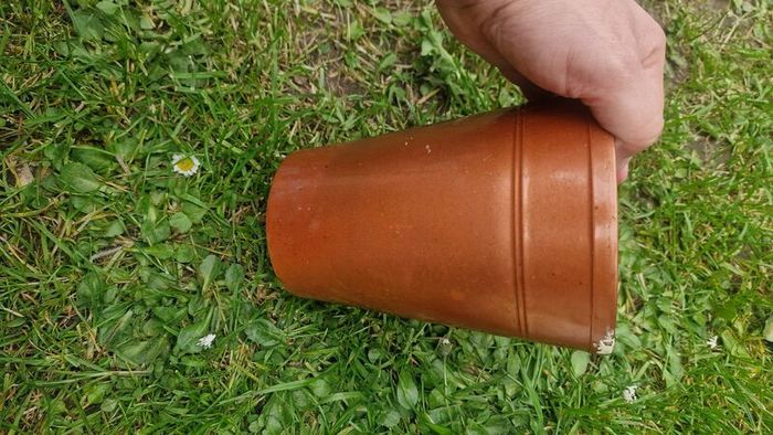 flower pots