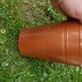 flower pots Image 6