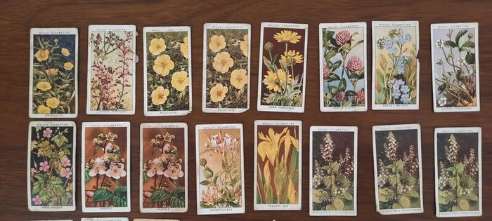Vintage Wills Cigarette Cards - Wild Flowers & Garden Hints