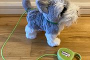 Walking dog