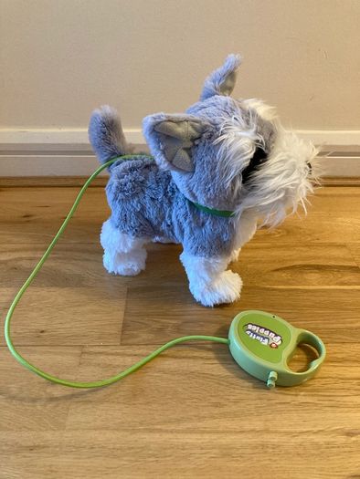 Walking dog