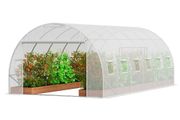 Walk-in Tunnel Greenhouse 19.36x9.68x6.5ft Galvanized Frame PE Cover White