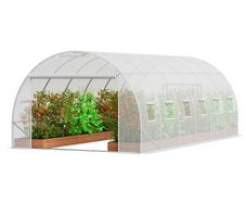 Walk-in Tunnel Greenhouse 19.36x9.68x6.5ft Galvanized Frame PE Cover White
