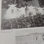 The Animal in Photography, 1843 - 1985/ 1986 Image 9