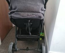 buggies