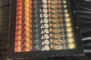 Graham Parker Stick to me lp Irish press