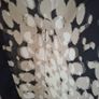 Michael Kors Tunic Top XL Image 4