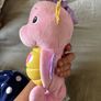 Free seahorse Image 2