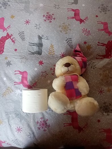 Bedtime bear