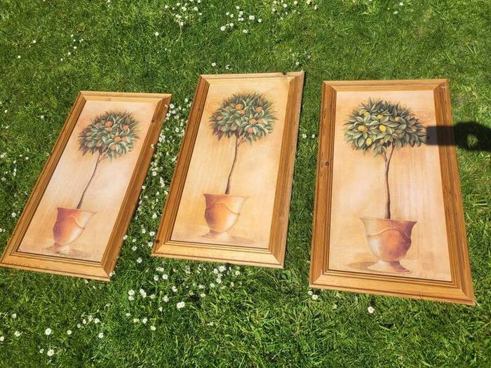 80x40c framed plant pictures