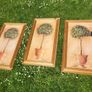 80x40c framed plant pictures Image 4