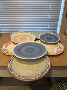 Melamine Dinner Plates (8)