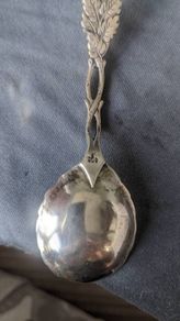 Rose silver spoon