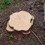 Wooden centre piece Image 5