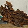 Dragon Wood Image 8