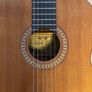 Salvador Cortes CC22 Acoustic Guitar Image 2