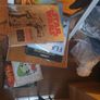 books...tacing history fictional  kids Image 4