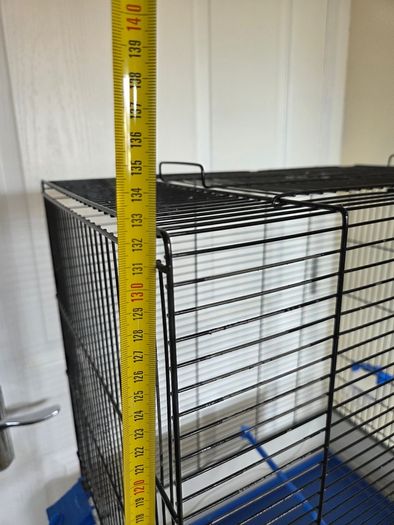 bird setup