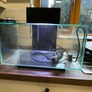 Fluval Edge 23 fish tank Image 3