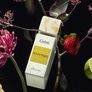 Gritti Eclectique EDP new sealed 100 ml Image 2