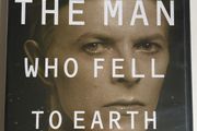 The Man Who Fell To Earth [1976] David Bowie [Movie DVD]