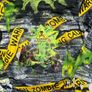 NEW Zombie Halloween two piece age 11-12 Image 4