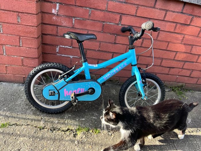 Kid bike 12" Ridgeback
