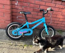 Kid bike 12" Ridgeback