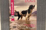 Extraordinary Dogs. The Complete TV Series. 3 x DVD.
