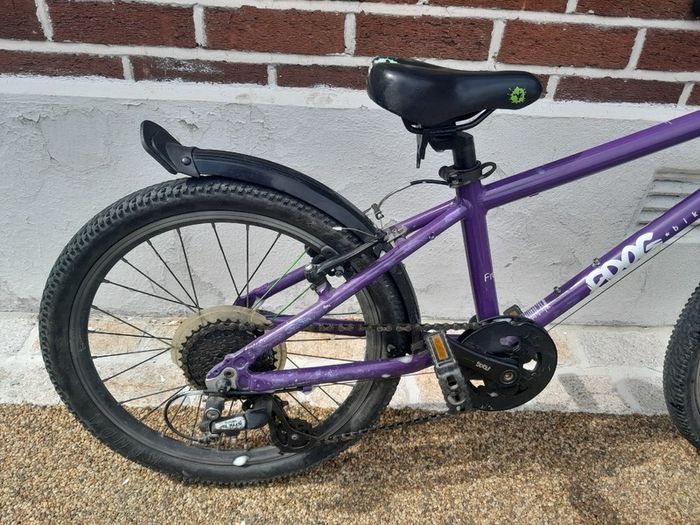 Frog Bike 55