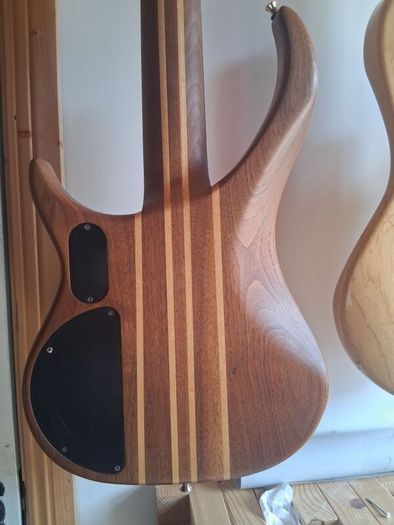Peavey cirrus 5 walnut