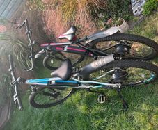 ebikes
