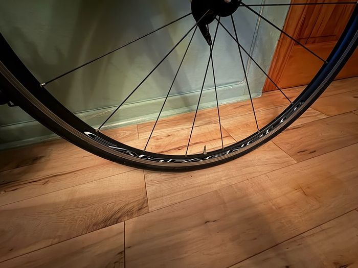 argon 18